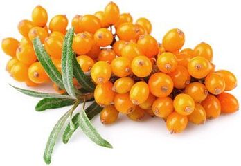 Deniz Buckthorn