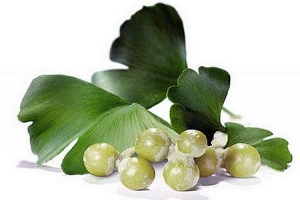 Ginkgo Biloba erkek gücünü artırıyor